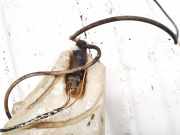 Waschwasserpumpe Scheibenreinigung Ford Fiesta, V 2002.01 - 2004.12 Gebraucht,