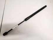 Gasdruckfeder Kofferraum Renault Megane, III 2008.11 - 2012.06 904510001r,