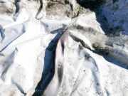 Schloßträger Land-Rover Range Rover, 2002.03 - 2012.08 Gebraucht ,