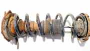 Fahrwerksfeder Hinterachse Audi A4, B5 1994.11 - 1999.09 Gebraucht,
