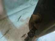 Türfangband Türbremse Türstopper - Hinten Linke Volkswagen Sharan, 7M 1995.09 - 2000.04 Gebraucht, 59G