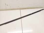 Zierleiste Leiste - Vorne Linke Volkswagen Passat, B6 2005.08 - 2010.11 Gebraucht, BMP