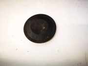 Blende Scheinwerfer - Vorne Renault Scenic, II 2003.06 - 2006.06 153874,153874