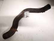 K?hlerschlauch Honda Accord, 2003.02 - 2005.09 Gebraucht,