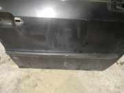 Zierleiste Tür Zier-Schutzleiste - Vorne Rechts Fiat Ulysse, II 2002.06 - 2014.12 Gebraucht,