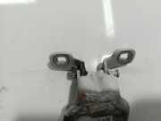 T?rscharnier Vorne Dacia Sandero, I 2008.01 - 2012.03 Gebraucht,