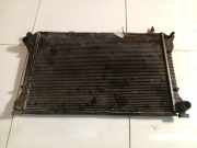 Wasserkühler Volkswagen Phaeton, 2002.04 - 2006 Gebraucht, BMK