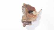 Bremssattel - Vorne Rechts Volvo S40, 2004.01 - 2007.03 814,