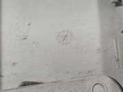 Verkleidung Säule - MITTE RECHTS Ford C-MAX, 2003.01 - 2007.06 3M51R24583A, 3M51 R24583 A 3M51 R24583 B 3M51R24583B