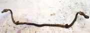 Stabilisator Vorne Volkswagen Golf, IV 1997.08 - 2003.10 Gebraucht,