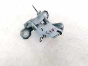 T?rscharnier Vorne Renault Vel Satis, 2002.06 - 2009.12 Gebraucht,