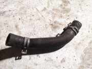 Kühlerschlauch Volkswagen Phaeton, 2007 - 2011 facelift Gebraucht, CEXA
