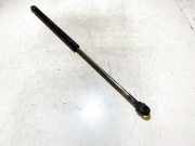 Gasfeder für Motorhaube Audi A6, C5 1997.01 - 2001.08 443823359b, 2147870320n