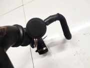 Schlauch für Luftversorgung Renault Kangoo, 2003.05 - 2007.06 Gebraucht ,