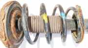 Fahrwerksfeder vorne Nissan Primera, P12 2002.01 - 2008.12 Gebraucht,