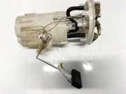 Kraftstoffpumpe Renault Kangoo, 2003.05 - 2007.06 8200432673B, 550573