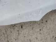 Kotflügel - Vorne Linke Renault Laguna, III 2007.10 - 2010.11 baltas,