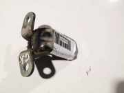 Türscharnier Hinten Hyundai Santa Fe, 2006.03 - 2012.09 Gebraucht,