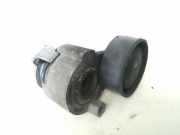 Spannrolle Renault Scenic, III 2009.02 - 2013.06 117503662r,ac-46000