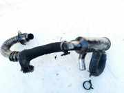 Abgaskühler AGR-Kühler Citroen C5, I 2004.08 - 2008.02 facelift Gebraucht,