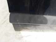 Zierleiste T?r Zier-Schutzleiste - Vorne Rechts Renault Scenic, I 1999.09 - 2003.06 facelift Gebraucht,