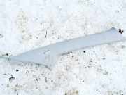 Innenausstattung Mazda 5, CR 2005.02 - 2010.09 c23668160,