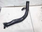 Intercooler Schlauch Fiat Bravo, 2006.11 - 2014 C904,