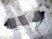 Ladeluftkühler Renault Trafic, X83 2001.03 - 2006.08 7700312903,91166035