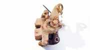 Bremssattelträger - Hinten Linke Renault Scenic, I 1999.09 - 2003.06 facelift Gebraucht,