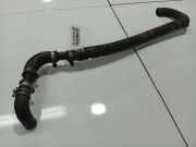 K?hlerschlauch Subaru Legacy, BL, BP 2003.09 - 2009.12 Gebraucht,