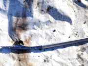 Dachreling Rechts Toyota Avensis, II 2006.03 - 2008.12 facelift 6346005032, 63460-05032