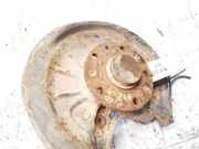 Radnabe Achsschenkel - Hinten Rechts Volkswagen Golf, V 2003.10 - 2008.10 didzioji, BLS