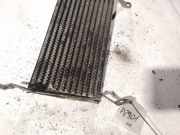 Kraftstoffkühler Kraftstoff Kühler Citroen C4 Picasso, I 2006.01 - 2013.06 Gebraucht,