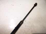 Gasdruckfeder Kofferraum Citroen C3, I 2002.02 - 2005.06 9639853880,