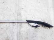 Dachreling Linke SsangYong Kyron, 2005.05 - 2010.01 Gebraucht,