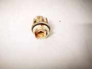 Glühbirnenfassung Blinker Volvo S40, 1995.07 - 2000.07 143287,143287 012141559R 20.819.00.S 2081900S PA6GF30
