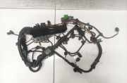 Kabelbaum BMW X1, E84 2009.01 - 2015.06 850721102,62440410