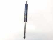 Gasdruckfeder Kofferraum Mercedes-Benz W210, 1995.06 - 1999.07 a0019808064,