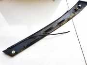 Schutzleiste Tür - Vorne Linke Renault Espace, IV 2002.11 - 2014.12 l1020248,