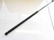 Gasfeder für Motorhaube Opel Insignia A, 2008.01 - 2013.01 13252173, 315005777