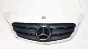 Kühlergrill Frontgrill Kühlergitter Mercedes-Benz Citan, 2012.06 --> A4158880023,623100373R