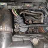 Einspritzdüse Peugeot 206, 1998.08 - 2002.07 0445110076, 964174280