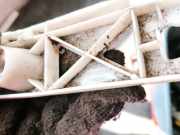 Stoßstangenhalter - Hinten Rechts Mazda 5, CR 2005.02 - 2010.09 C235502J1,