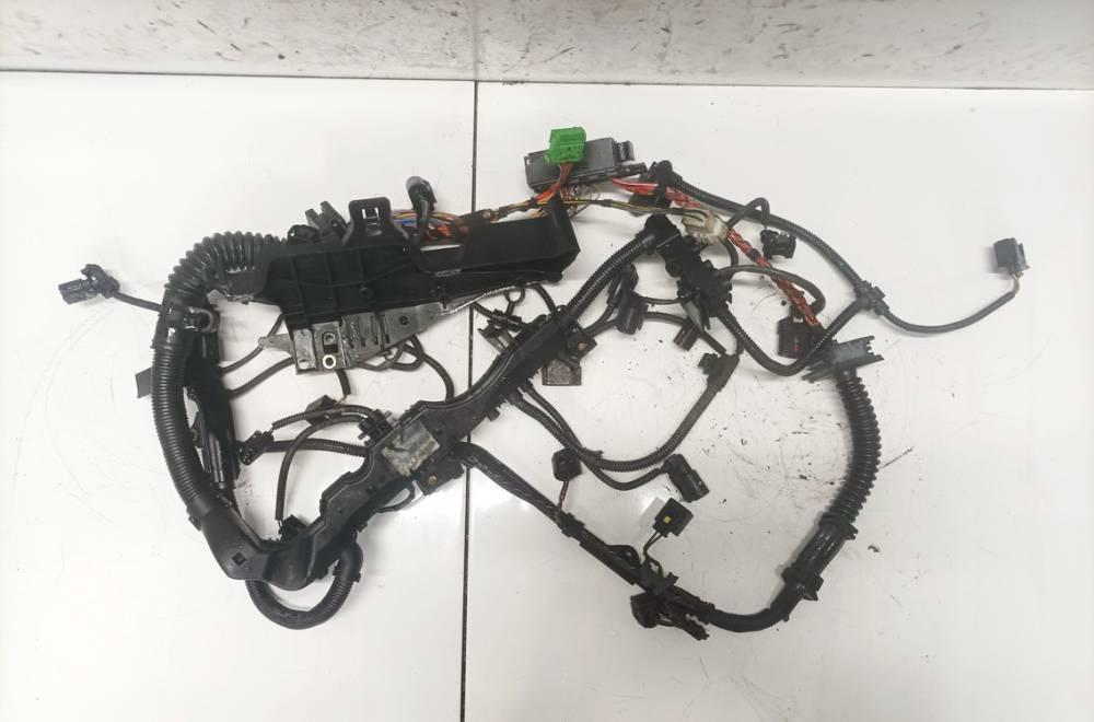 Kabelbaum BMW X1, E84 2009.01 - 2015.06 850721102, 62440410