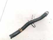 Kühlerschlauch Renault Vel Satis, 2002.06 - 2009.12 Gebraucht ,