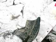 Radhausschale - Vorne Linke Opel Omega, A 1986.09 - 1994.03 90230633,