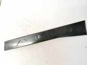 Schutzleiste Tür - Hinten Linke Volkswagen Phaeton, 2002.04 - 2006 3d4839903, BMK