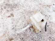 Scheibenwaschbehälter Vorne Wischwasserbehälter Nissan Primera, P12 2002.01 - 2008.12 28910au310,