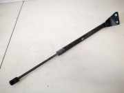 Gasfeder für Motorhaube Opel Antara, 2006.01 - 2010.08 96661404,