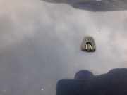 Waschwasserdüse Scheibenreinigung Volvo S80, 1998.05 - 2004.06 Gebraucht ,